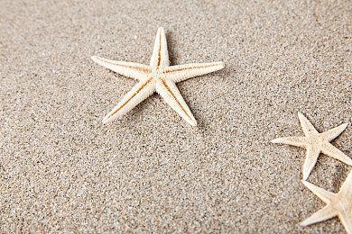 《糖豆人：终极淘汰赛》全新预告 21日免费登陆全平台